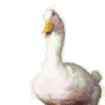 AFLAC
