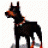 Doberman